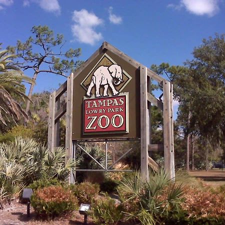 4Bd 2 Mi To Usf Free Pool + 24 Hour Gym Villa Tampa Luaran gambar