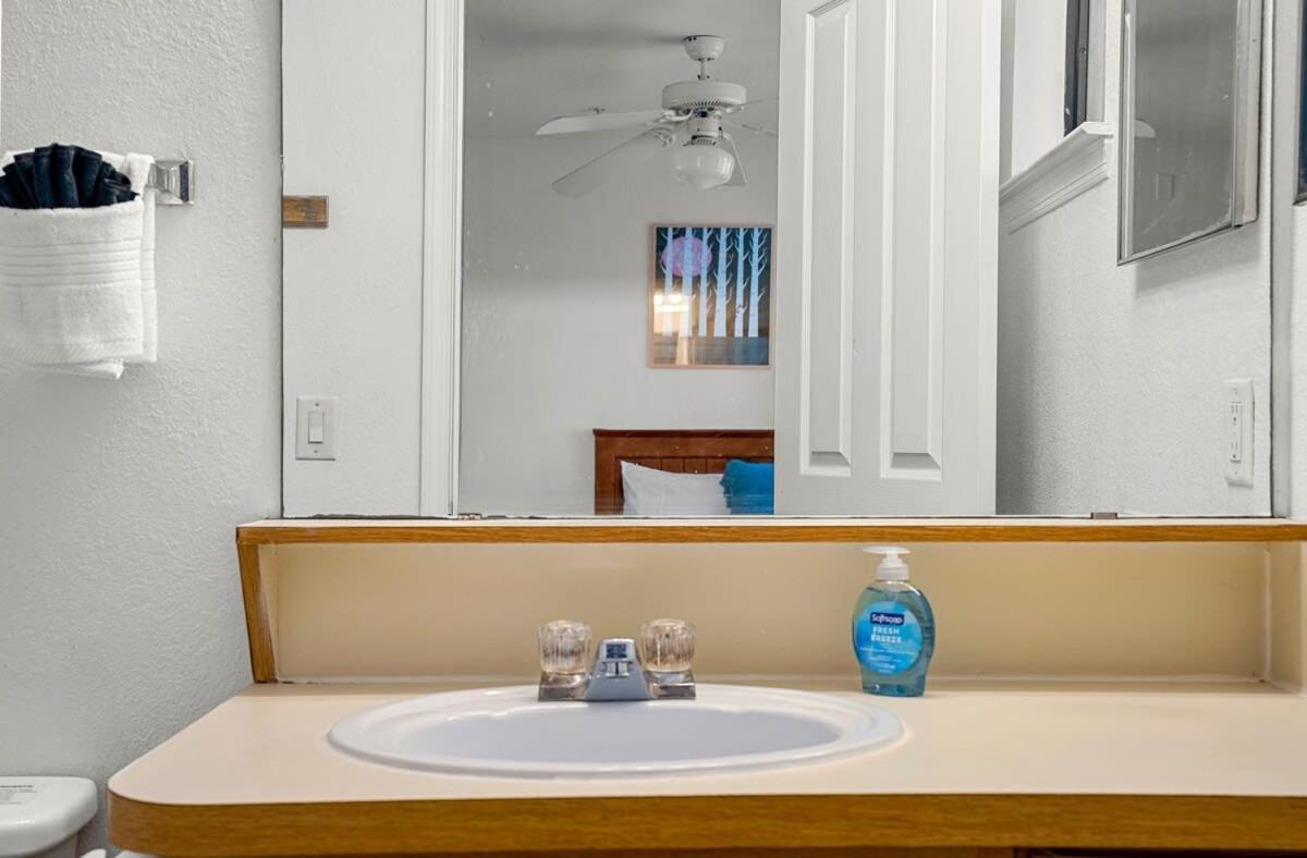 4Bd 2 Mi To Usf Free Pool + 24 Hour Gym Villa Tampa Luaran gambar