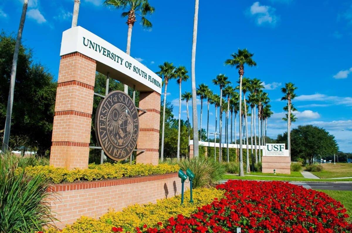 4Bd 2 Mi To Usf Free Pool + 24 Hour Gym Villa Tampa Luaran gambar
