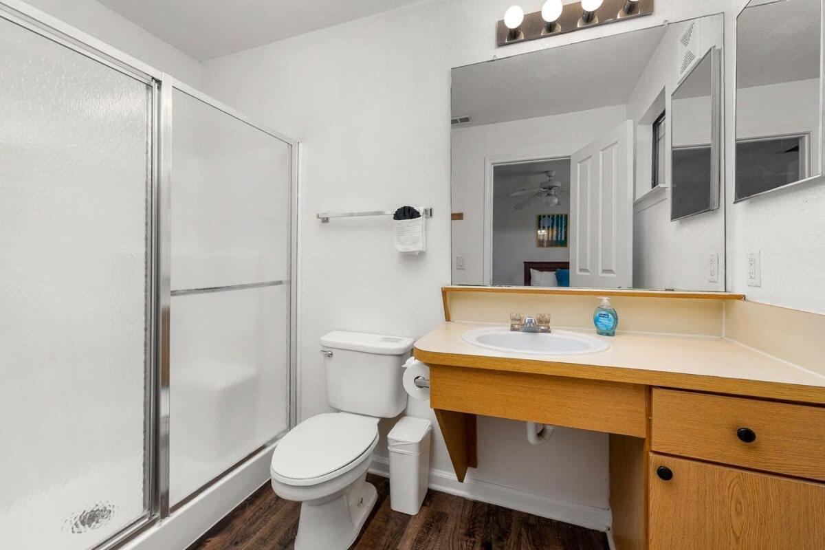 4Bd 2 Mi To Usf Free Pool + 24 Hour Gym Villa Tampa Luaran gambar