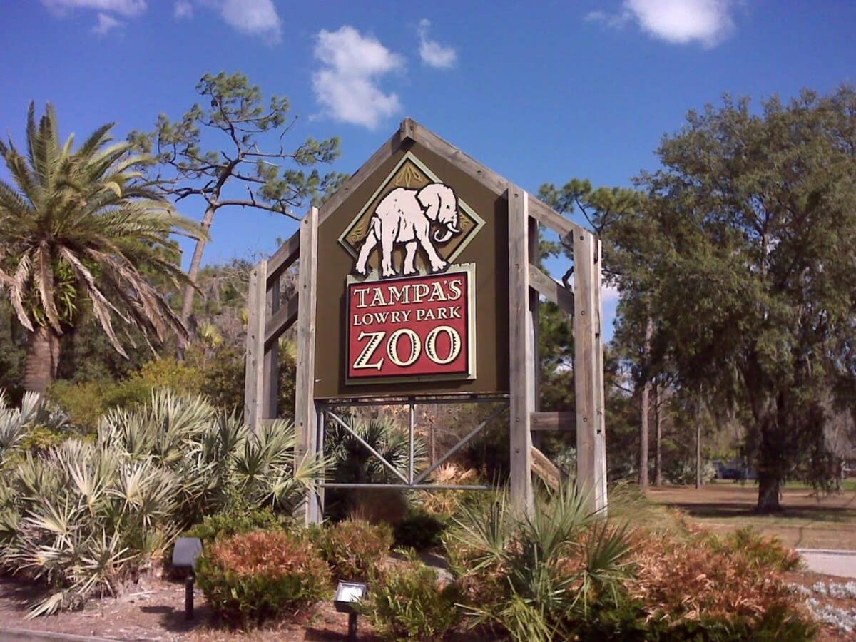4Bd 2 Mi To Usf Free Pool + 24 Hour Gym Villa Tampa Luaran gambar