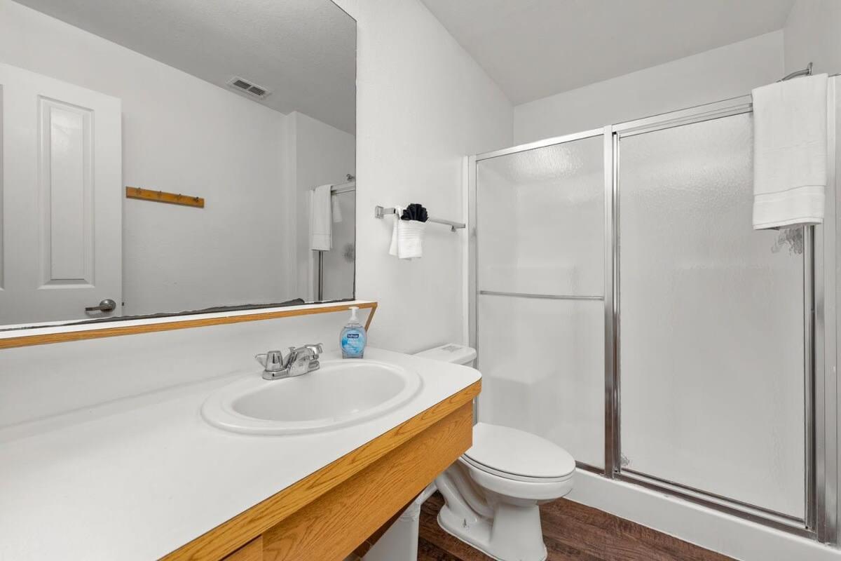 4Bd 2 Mi To Usf Free Pool + 24 Hour Gym Villa Tampa Luaran gambar